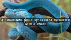 A Frightening Night: My Closest Encounter with a Snake thumbnail