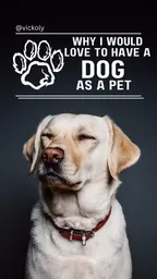 WHY I WOULD LOVE TO HAVE A DOG AS A PET  thumbnail