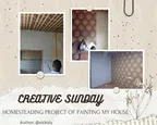 CREATIVE SUNDAY HOMESTEADING PROJECT OF PAINTING MY HOUSE  thumbnail