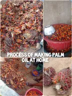 Processing of making palm oil from palm kernel at home #1 thumbnail