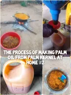 Process of making palm oil from palm kernel at home #2 thumbnail