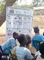 How I enlighten farmers about USDA WEST AFRICA PRO CASHEW PROJECT || And also settle Disputes between the Farmers and Cattle Rearers thumbnail