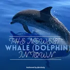 THE NEWEST WHALE (DOLPHIN) IN TOWN  thumbnail