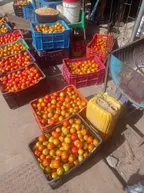 A Visit to the Tomatoes 🍅 Market  thumbnail