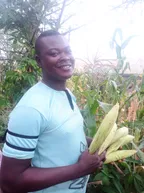 I Harvested More Maize At My Farmland thumbnail